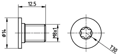 Bout, remschijf TEXTAR TPM0002)