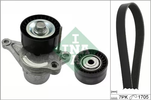 V-geribbelde riemset Schaeffler INA 529 0423 10)
