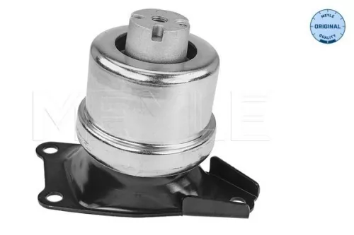 Montage, motor MEYLE 100 199 0214)