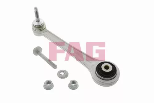 Control/Trailing Arm, wheel suspension Schaeffler FAG 821 0169 10)