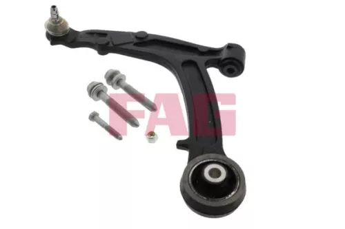 Control/Trailing Arm, wheel suspension Schaeffler FAG 821 0392 10)