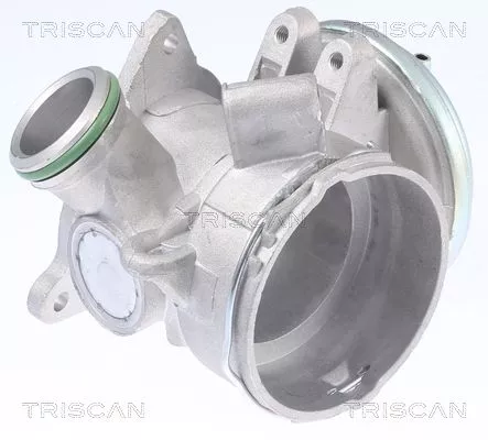 EGR-klep TRISCAN 8813 23032)