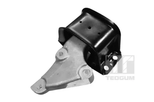 Montage, motor TEDGUM 00516309)