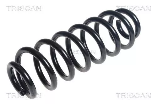 Veerophanging TRISCAN 8750 29456)