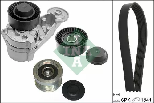 V-ribbed Belt Set Schaeffler INA 529 0480 20)