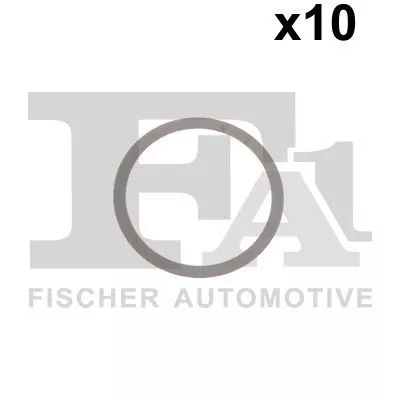 Seal Ring FA1 067.810.010)
