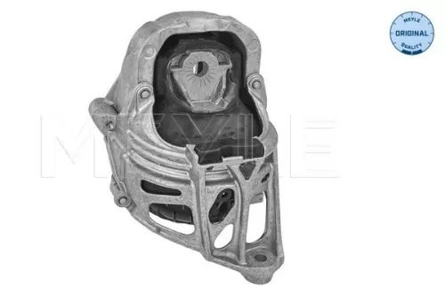 Montage, motor MEYLE 100 199 1017)