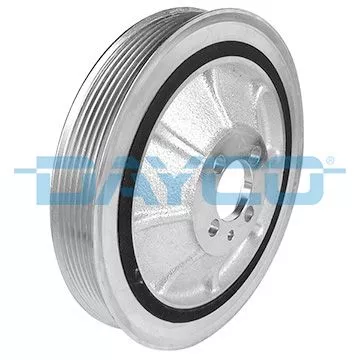Riempoelie, krukas DAYCO DPV1139)