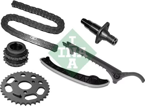 Timing Chain Kit Schaeffler INA 559 0037 10)