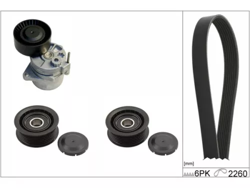 V-ribbed Belt Set Schaeffler INA 529 0115 10)