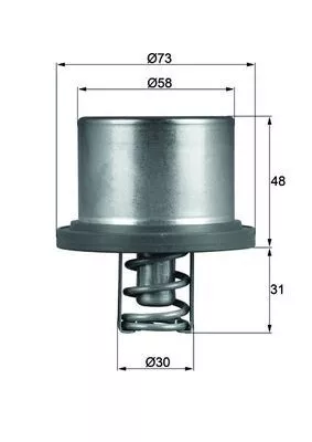 Thermostaat, koelvloeistof MAHLE THD 2 89)