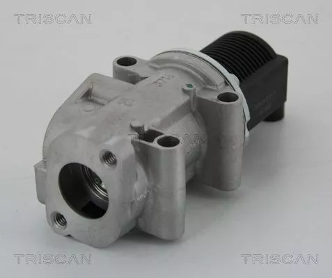 EGR-klep TRISCAN 8813 15032)