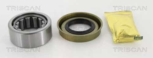 Wheel Bearing Kit TRISCAN 8530 16268)