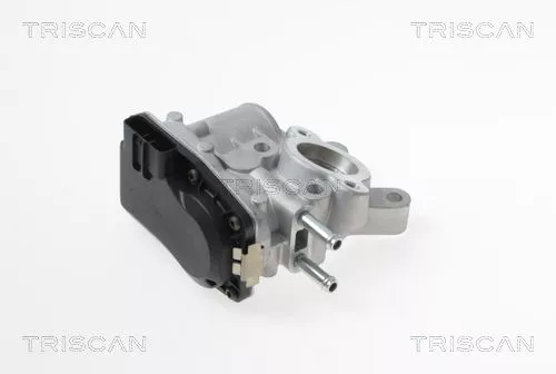 EGR-klep TRISCAN 8813 14100)