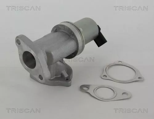 EGR-klep TRISCAN 8813 43002)