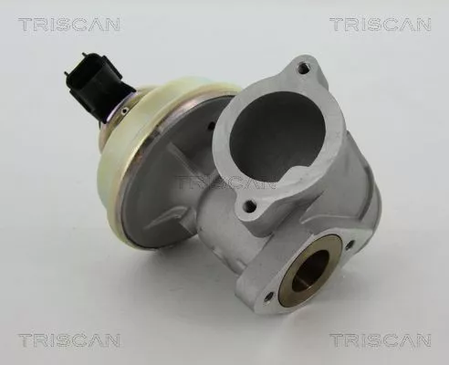 EGR-klep TRISCAN 8813 16102)
