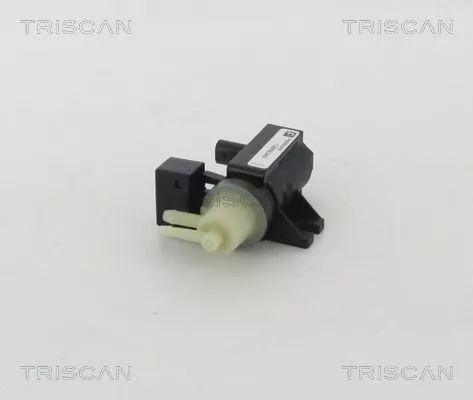Drukregelaar, uitlaatgasregeling TRISCAN 8813 23206)