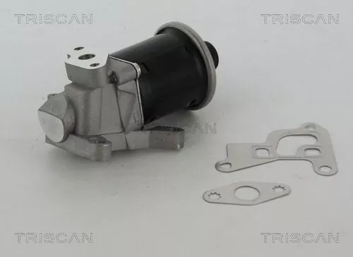 EGR-klep TRISCAN 8813 29100)