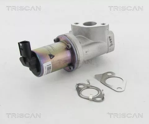 EGR-klep TRISCAN 8813 43021)