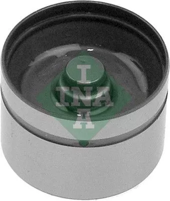 Stoter Schaeffler INA 420 0042 10)