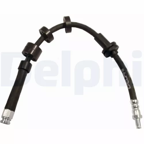 Remslang DELPHI LH6028)