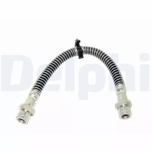 Remslang DELPHI LH6176)