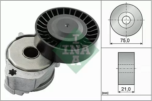 Riemspanner, V-geribbelde riem Schaeffler INA 534 0604 10)