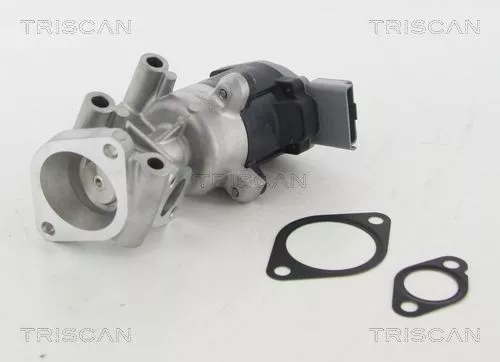 EGR-klep TRISCAN 8813 10009)