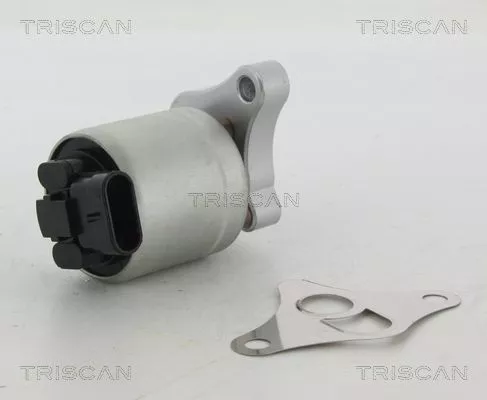 EGR-klep TRISCAN 8813 24002)