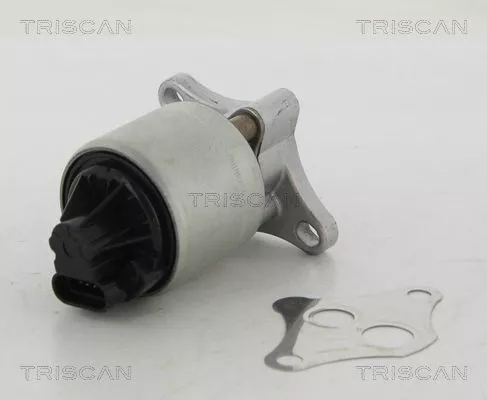 EGR-klep TRISCAN 8813 24004)