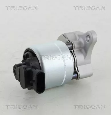 EGR-klep TRISCAN 8813 28008)