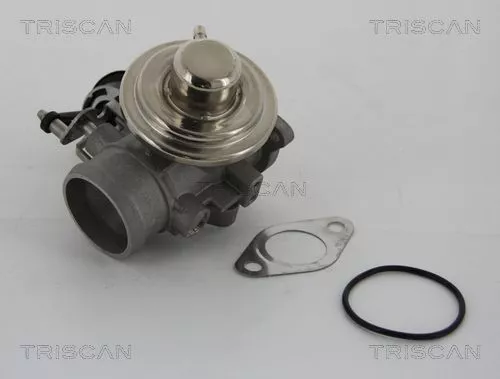 EGR-klep TRISCAN 8813 29001)