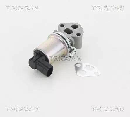 EGR-klep TRISCAN 8813 29007)