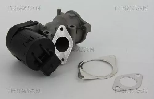 EGR-klep TRISCAN 8813 10001)