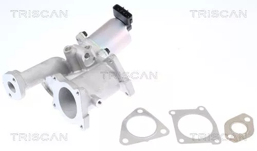 EGR-klep TRISCAN 8813 24101)
