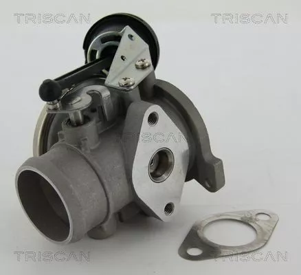 EGR-klep TRISCAN 8813 29022)