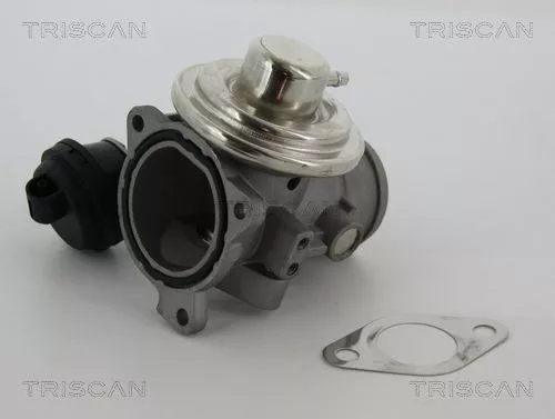 EGR-klep TRISCAN 8813 29057)