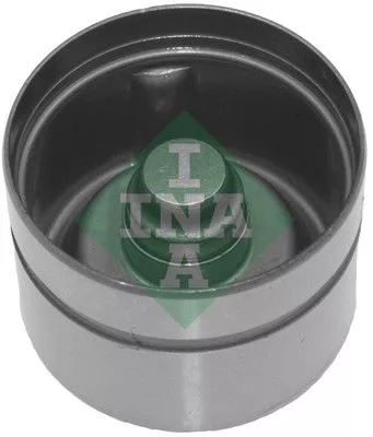 Stoter Schaeffler INA 420 0170 10)