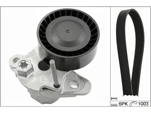 V-geribbelde riemset Schaeffler INA 529 0159 10)