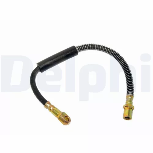Remslang DELPHI LH3269)