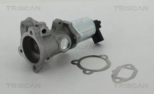 EGR-klep TRISCAN 8813 15052)