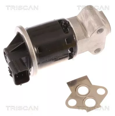 EGR-klep TRISCAN 8813 21100)