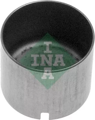 Stoter Schaeffler INA 421 0012 10)