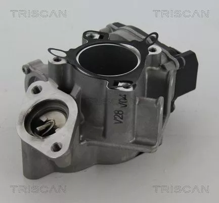 EGR-klep TRISCAN 8813 24039)