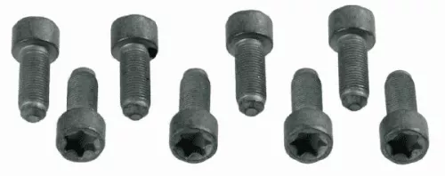 Schroevenset, vliegwiel SACHS 1874 000 031)