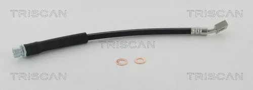 Remslang TRISCAN 8150 17300)