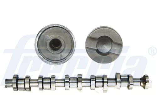 Nokkenas FRECCIA CM05-2161)