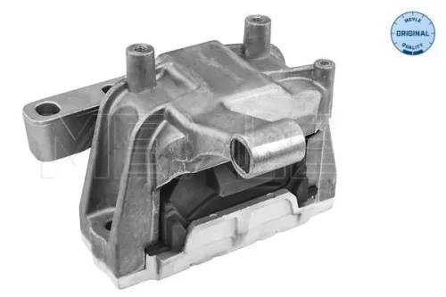 Montage, motor MEYLE 100 199 0171)