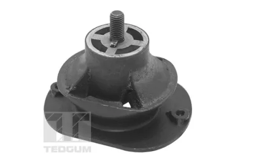 Montage, motor TEDGUM TED40521)
