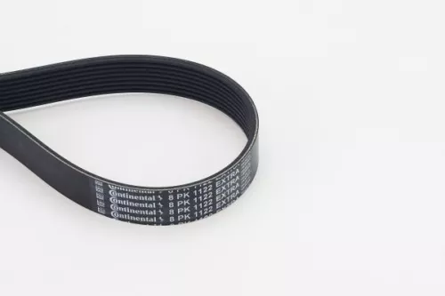V-vormige riem CONTINENTAL CTAM 8PK1122 EXTRA)
